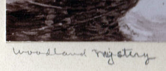 The name corrected on the Sepia