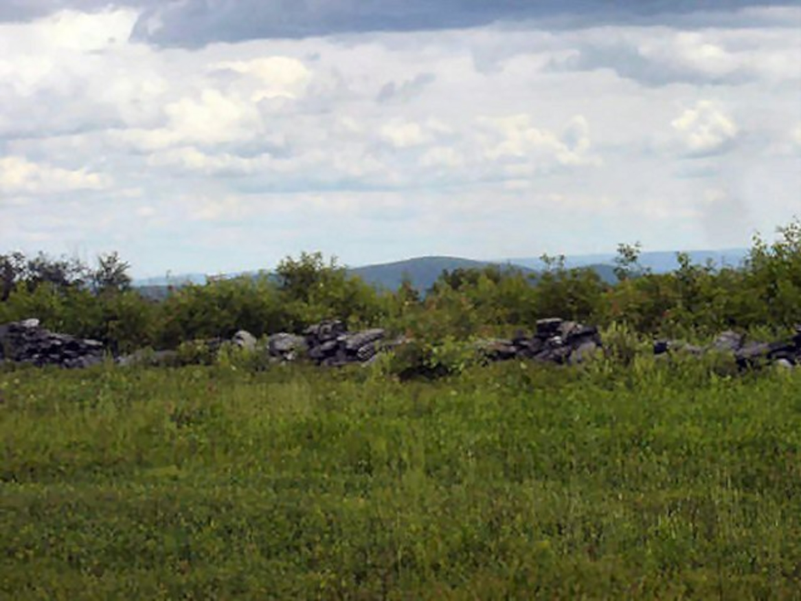 A view of the same stone wall as it appears in 2006.