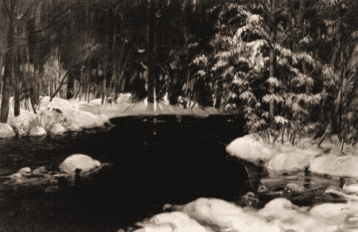 Evening Stream