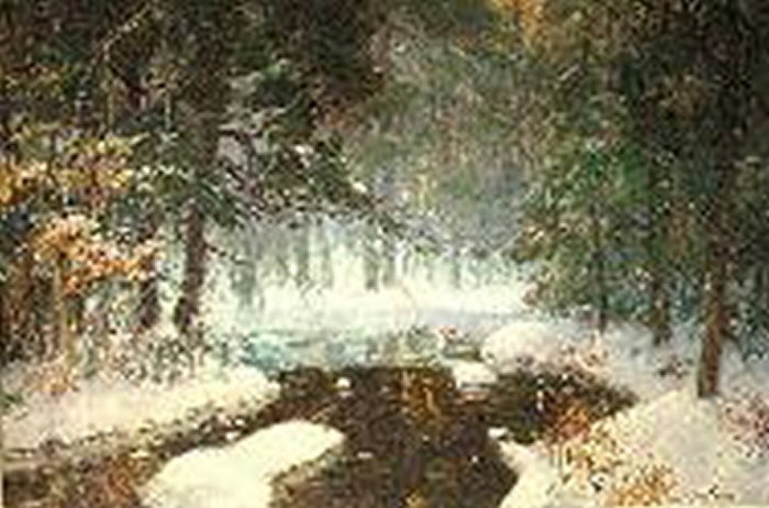 Evening Woodland