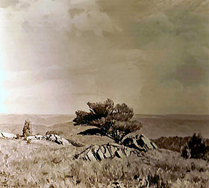An image of From a Heath Pasture