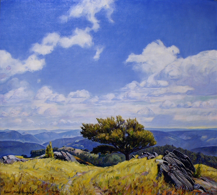 From a Hill Pasture