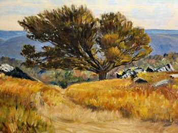 A close up of the tree