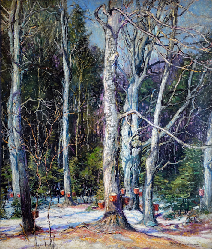 In The Sugar Bush