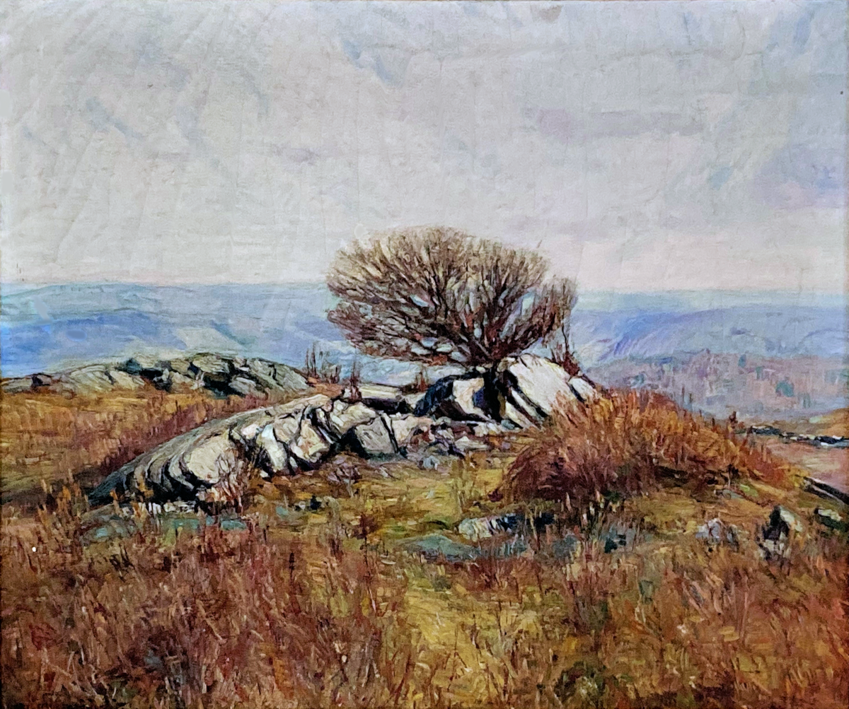 The Lone Tree High Resolution