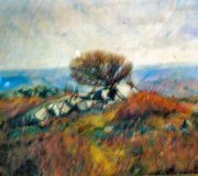The Lone Tree