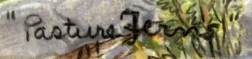 Close up of the name