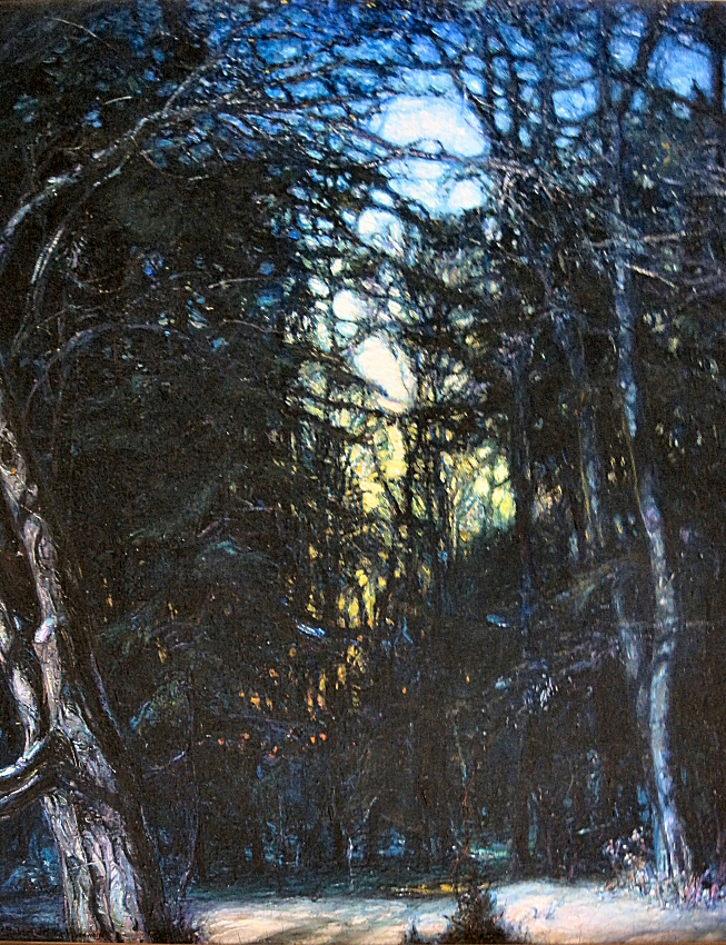 Tangled Branches