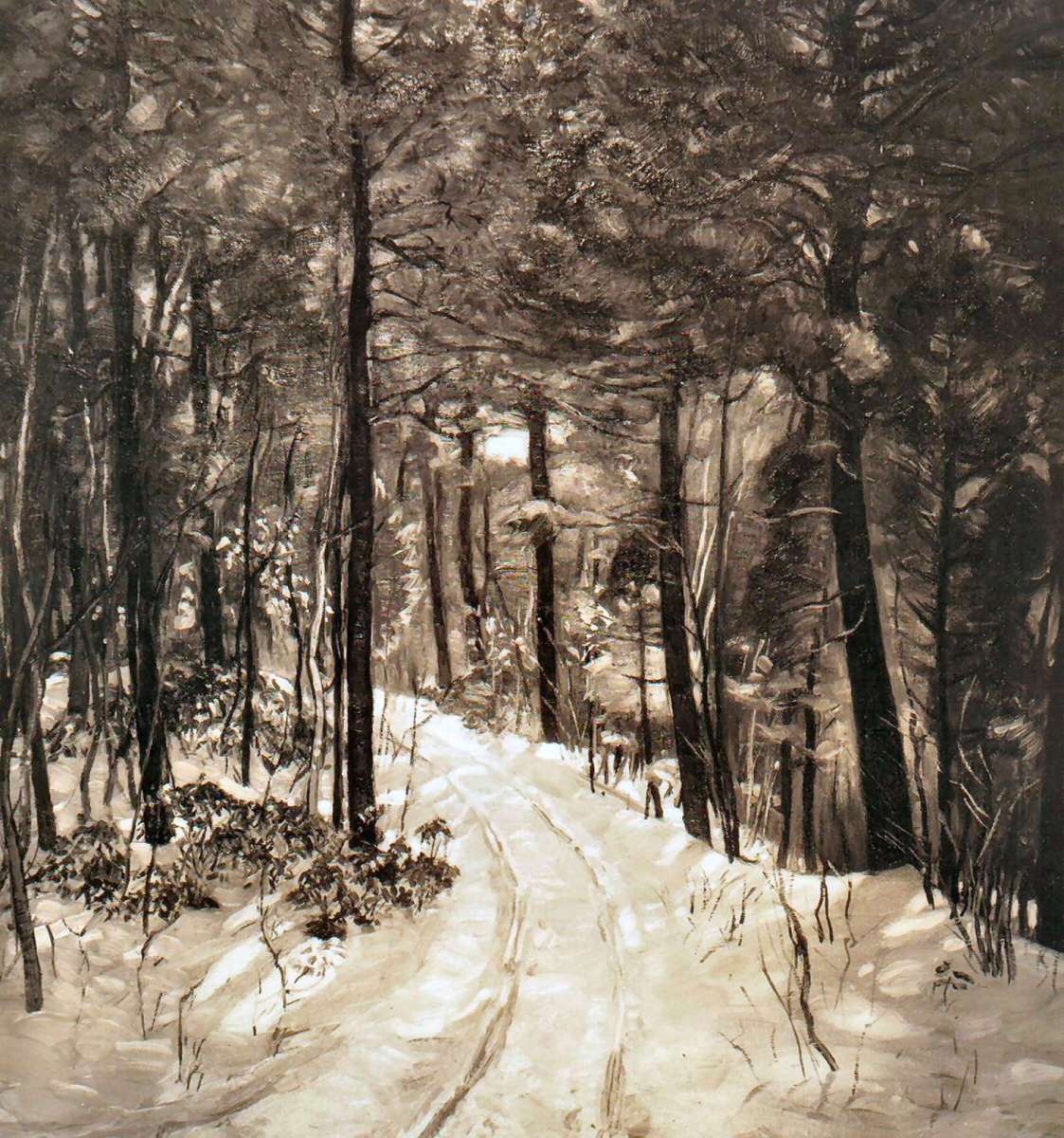 Through Winter Woods High Resolution