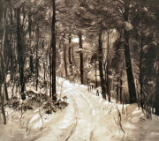 Through Winter Woods