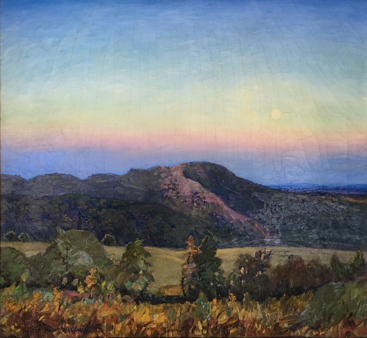 Unnamed: Many Horizons