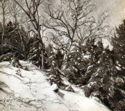 Winter (36 x 42)