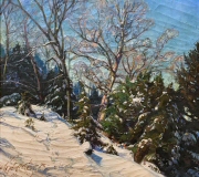Winter Slope