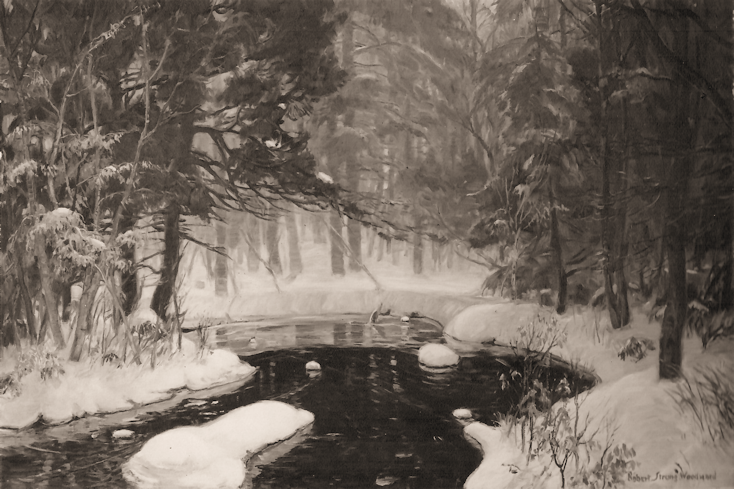 Woodland Mystery