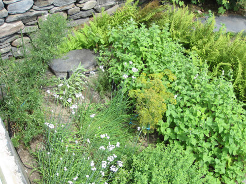 Overhead view of the current herb garden at the Southwick house