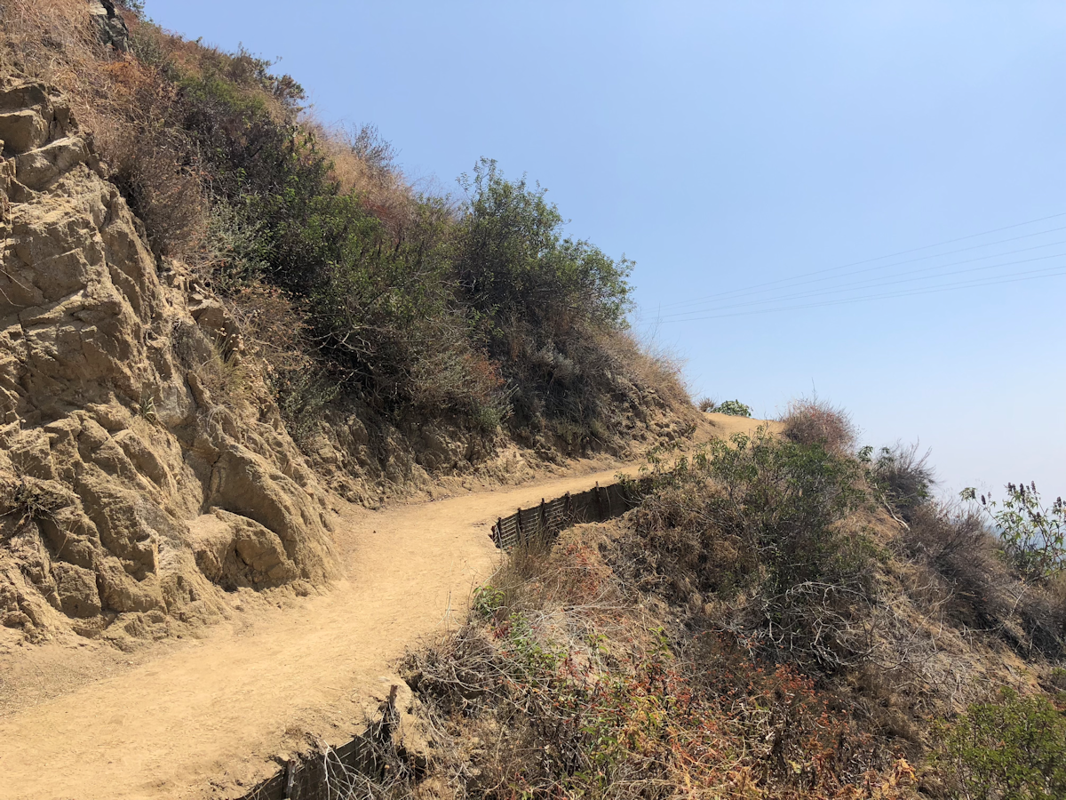 Mount Wilson Trail today