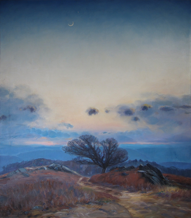 The Evening Moon - The beech tree at dusk.