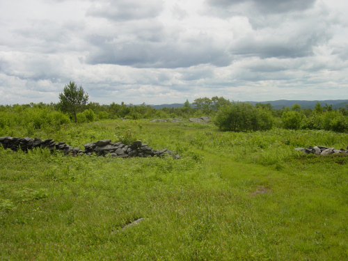 The Heath Pasture in 2006
