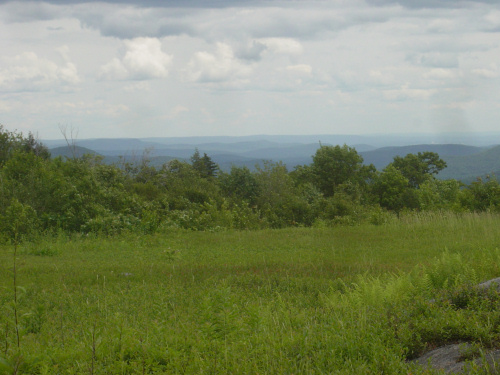 The Heath pasture in 2006