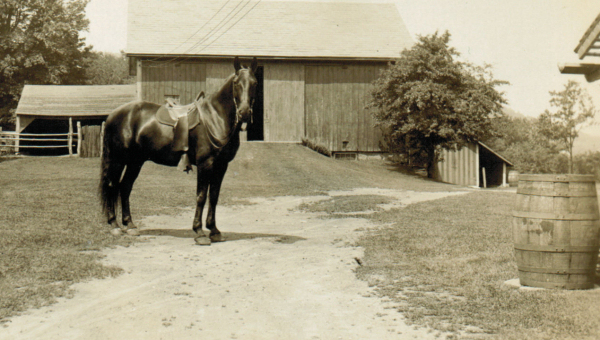 Trigger at the Hiram Woodward Studio near a rain barrel.