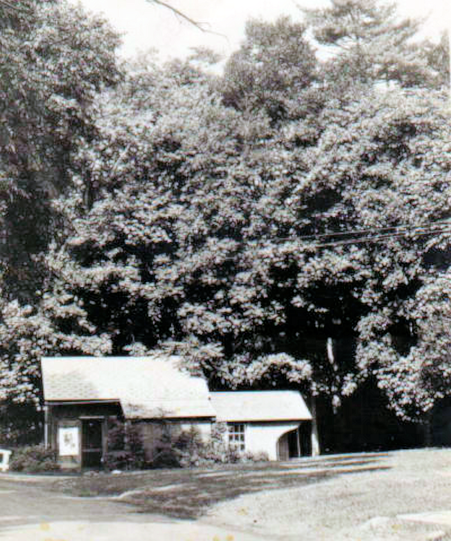 An image of Woodward's Redgate Studio