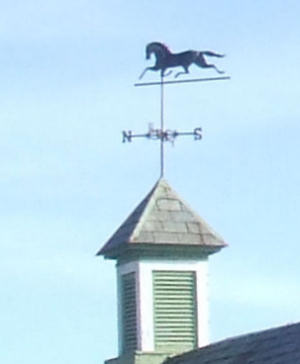  A today's view of the cupola and weathervane. 