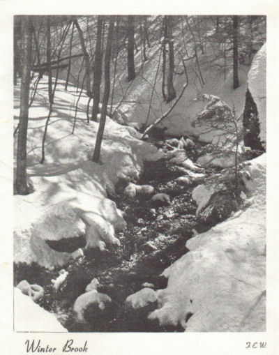 Notecard featuring a photograph taken by F. Earl William of a brook. 