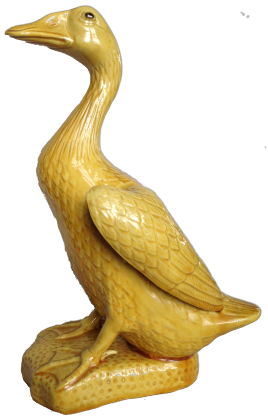 The Chinese Yellow Duck