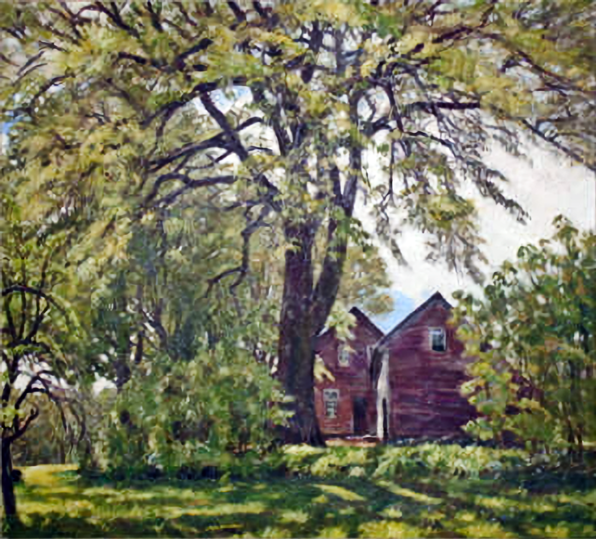 Dooryard Elm RSW Artwork High Resolution Page