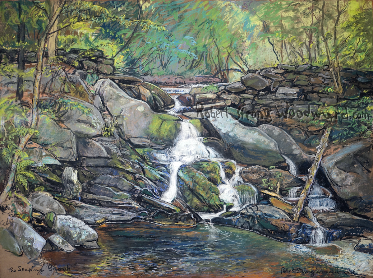 The Leaping Brook High Resolution