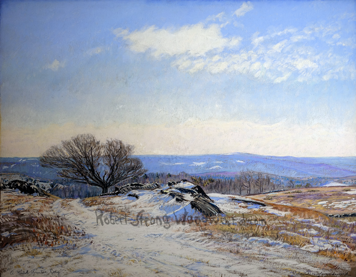 An image of A Mild Winter Day