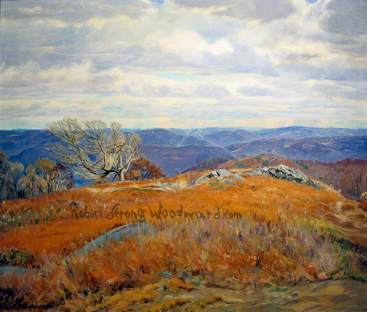 November Light High Resolution