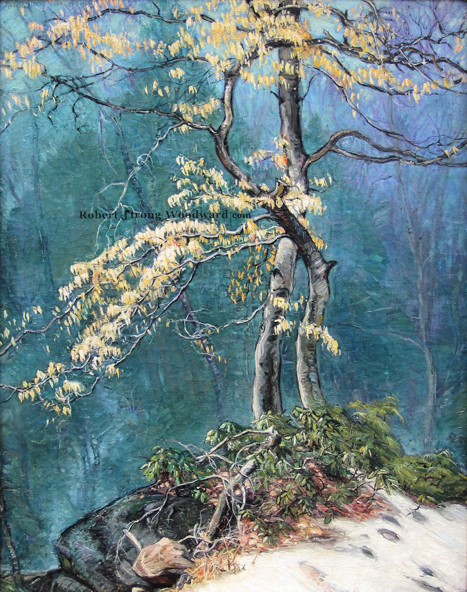 Out of The Mist High Resolution