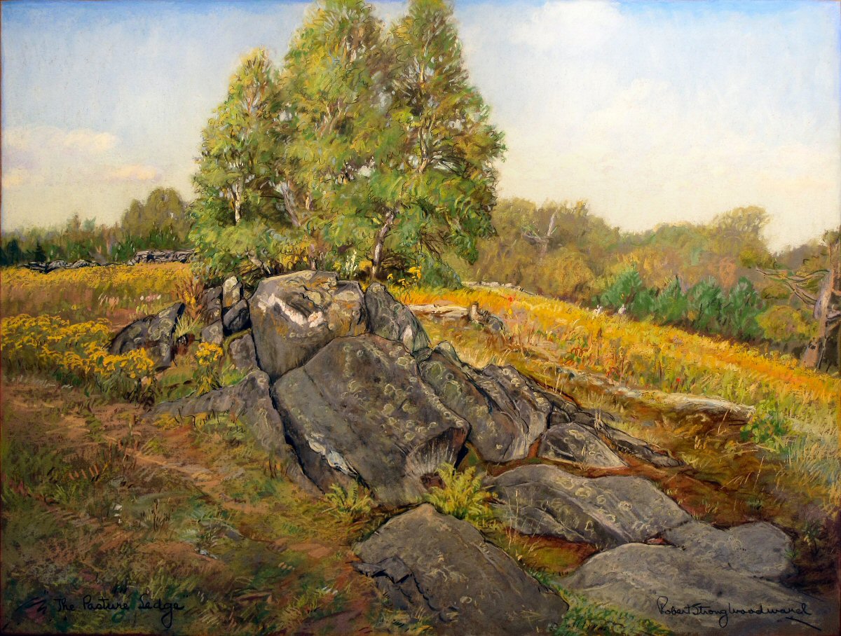 The Pasture Ledge High Resolution