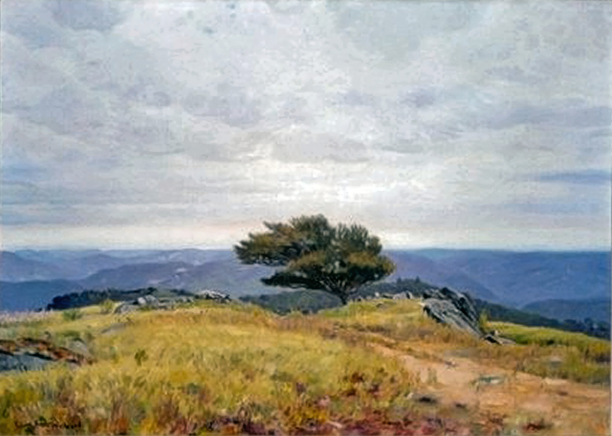 SEA OF HILLS (1939) High Resolution