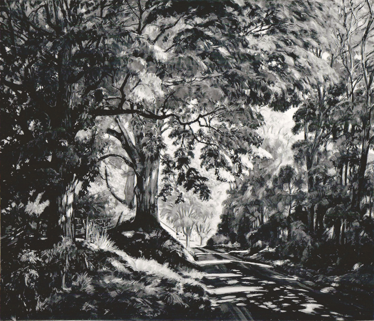 Shaded Road