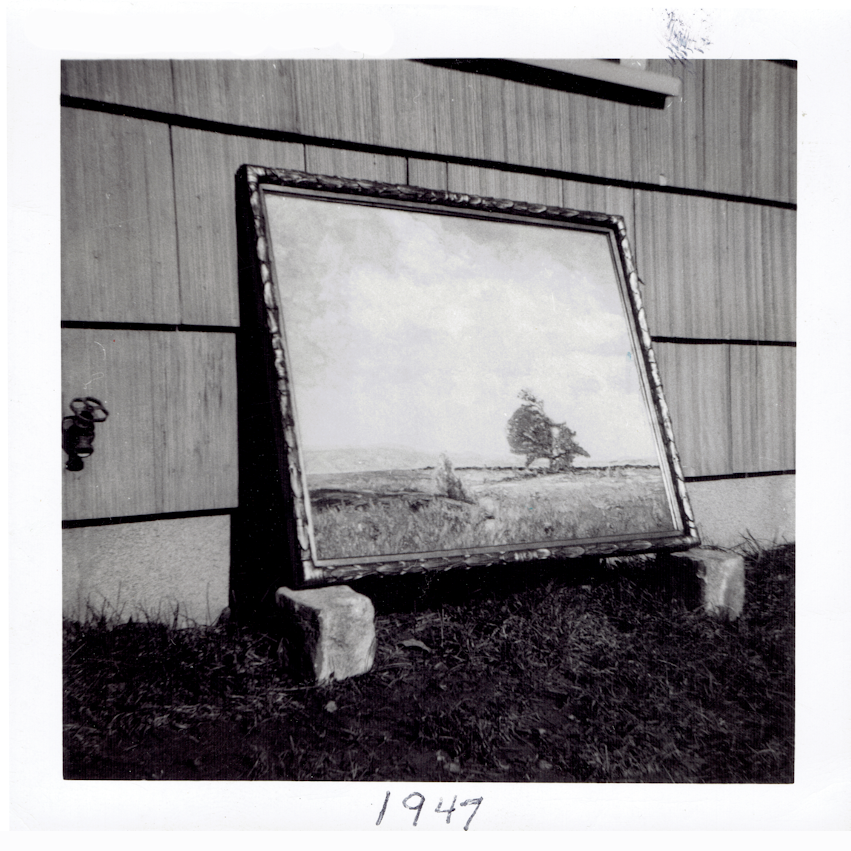 An image of the original photograph