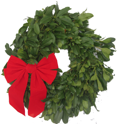Mountain Laurel Wreath 