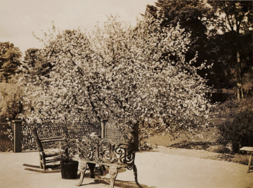 Outside the balcony door in winter